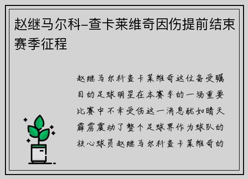 赵继马尔科-查卡莱维奇因伤提前结束赛季征程